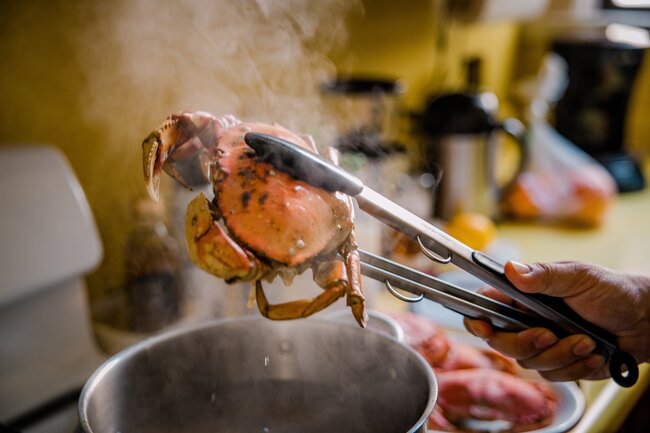 Boiled mud crab being taken out of pot