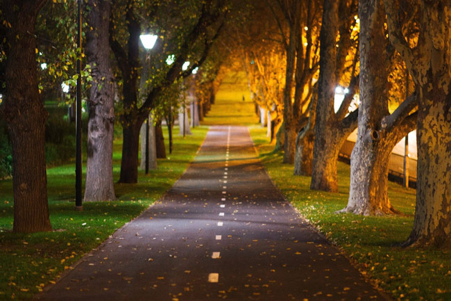 Sun dappled bike path in Melbourne park