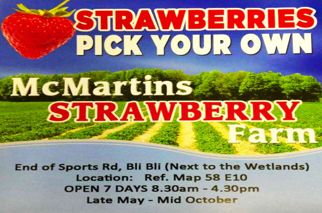 the front sign for McMartins Strawberry Farm
