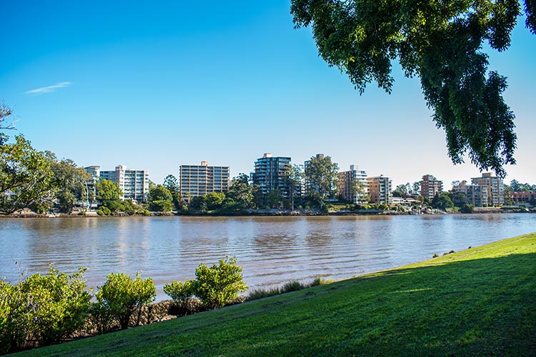 a view of brisbane city from orleigh park