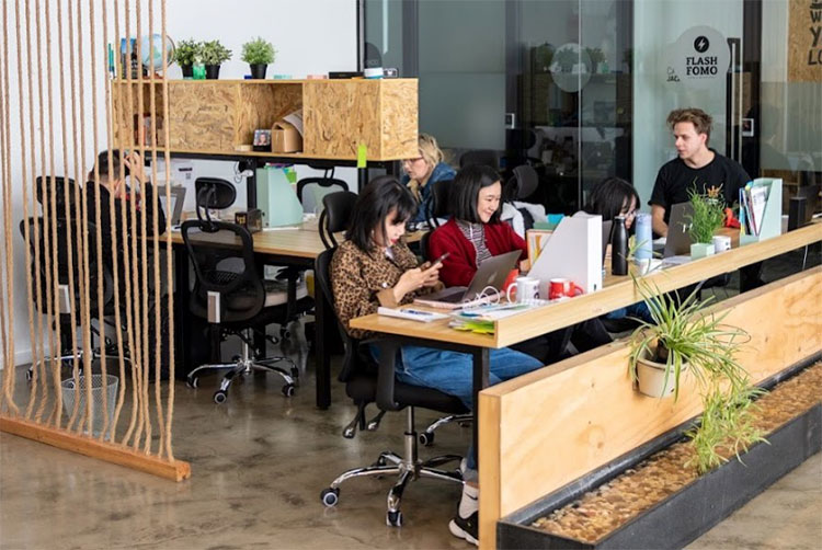three people working together in a coworking space in collingwood